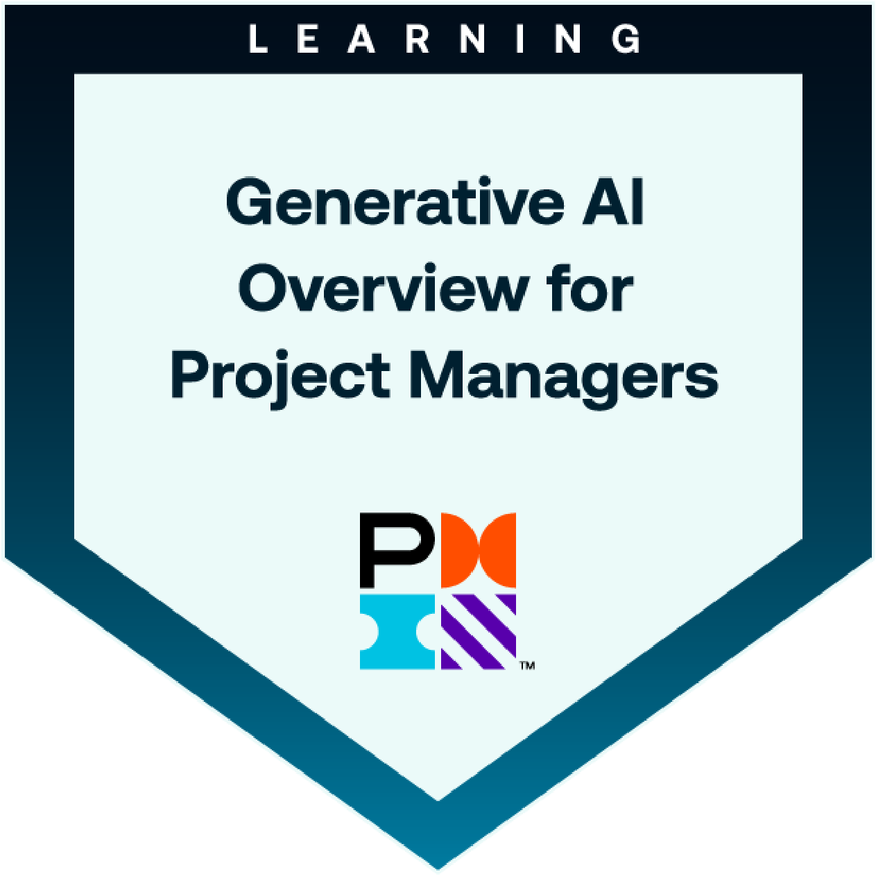 PMI Generative AI